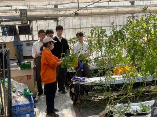 西京高等学校