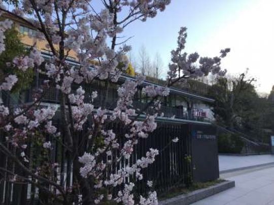 京都工学院高等学校