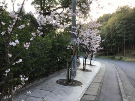 京都工学院高等学校