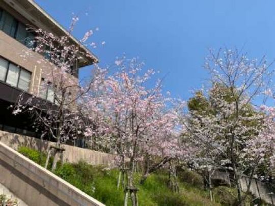 京都工学院高等学校