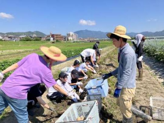 紫野高等学校