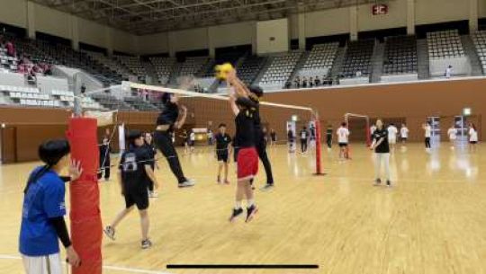 紫野高等学校