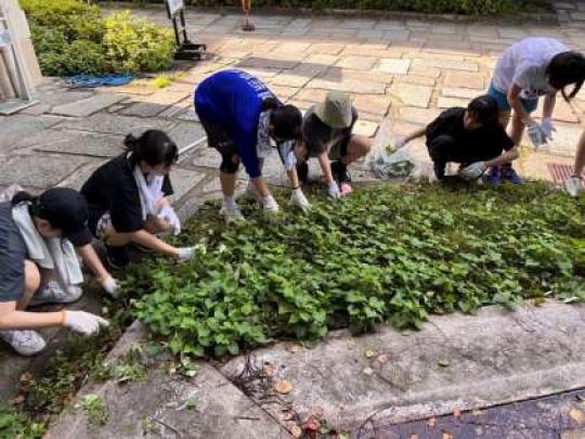 紫野高等学校