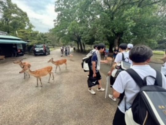 紫野高等学校