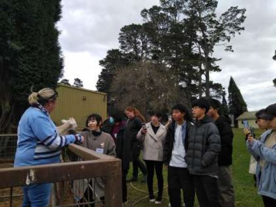 紫野高等学校