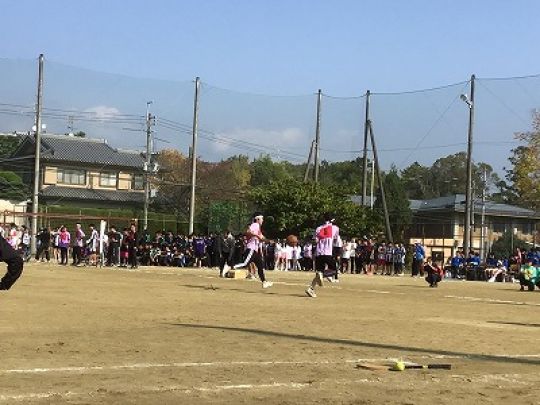 紫野高等学校