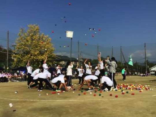 紫野高等学校