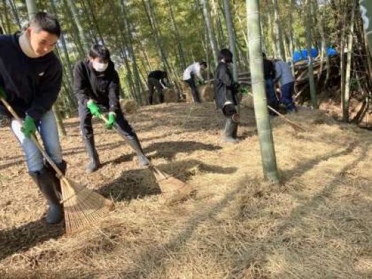 紫野高等学校