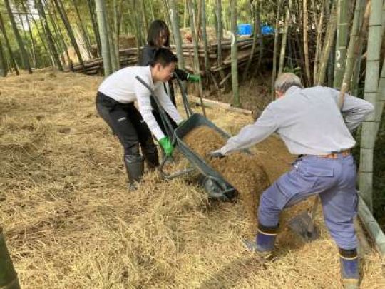 紫野高等学校