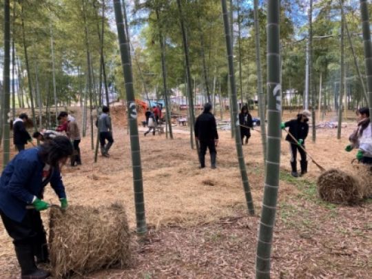 紫野高等学校