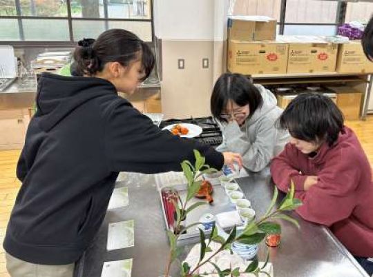 紫野高等学校