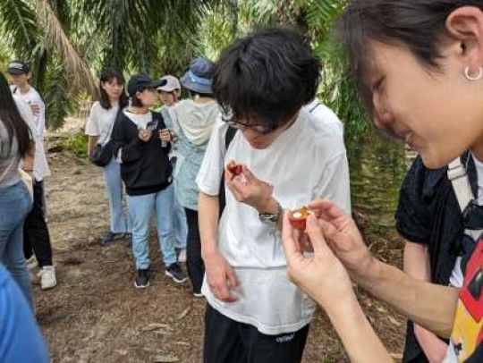 紫野高等学校