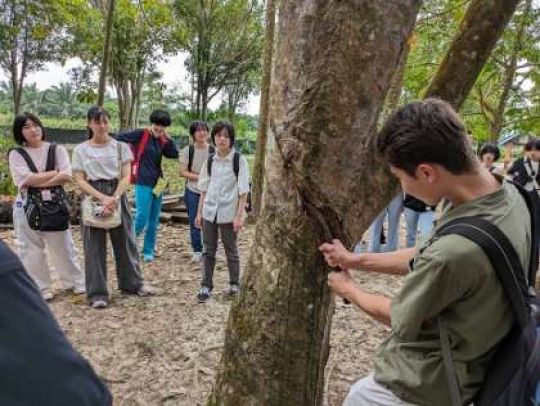 紫野高等学校