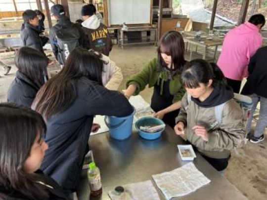 開建高等学校