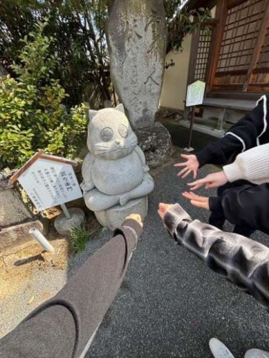 開建高等学校