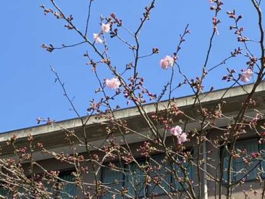 京都工学院高等学校