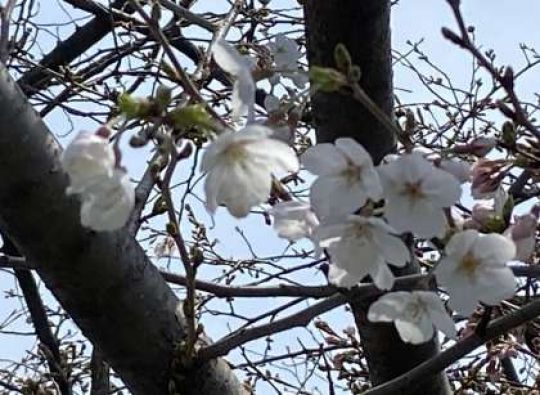 京都市立美術工芸高等学校