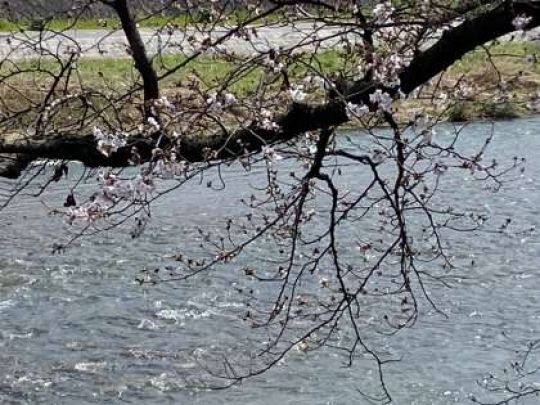 京都市立美術工芸高等学校