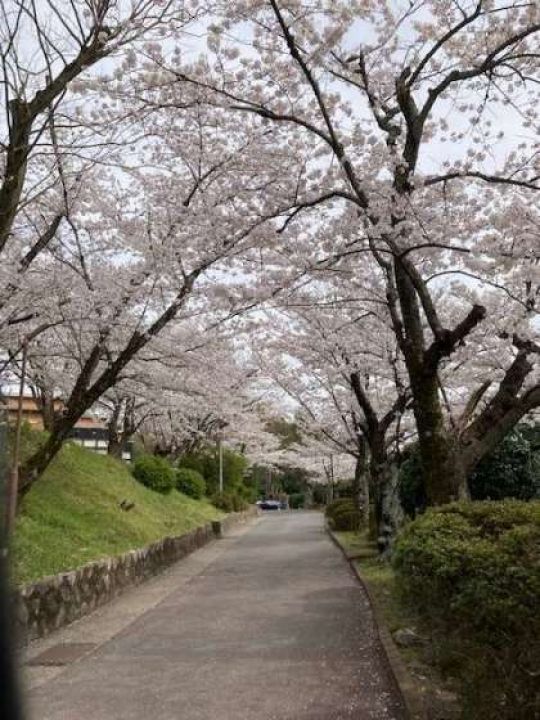 日吉ケ丘高等学校