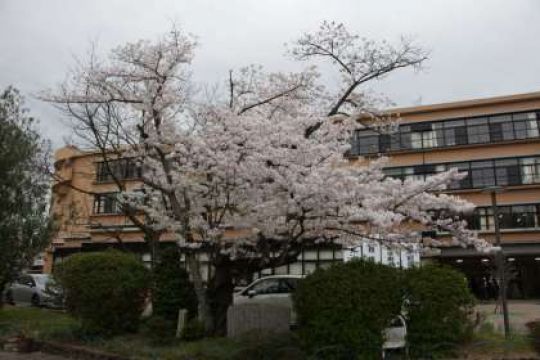 日吉ケ丘高等学校