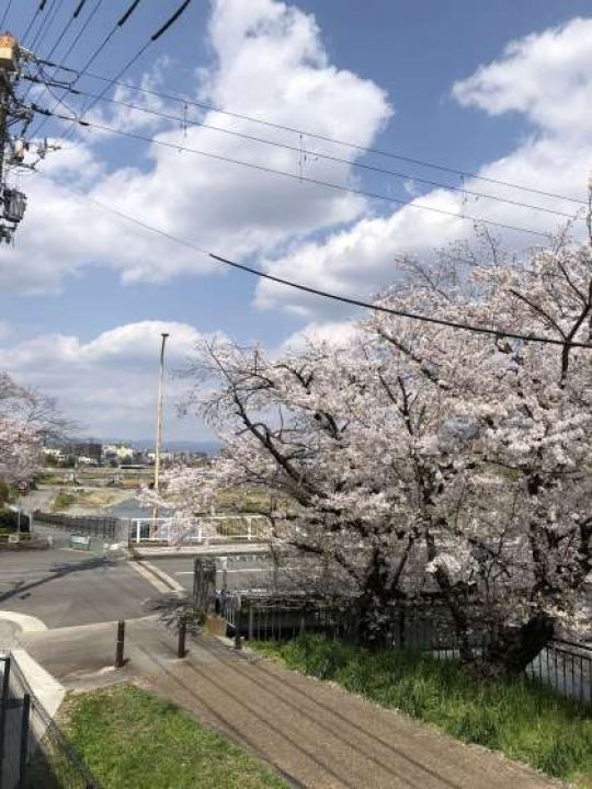 京都市立美術工芸高等学校