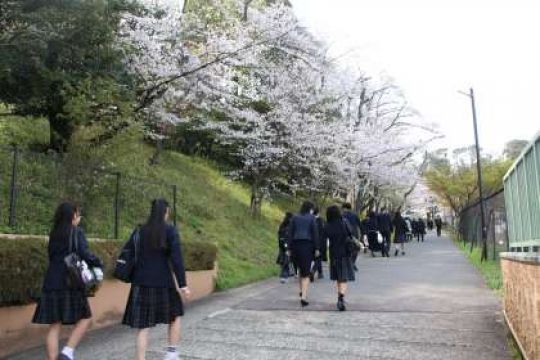 日吉ケ丘高等学校