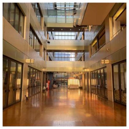 堀川高等学校