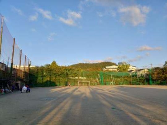 紫野高等学校