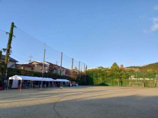 紫野高等学校