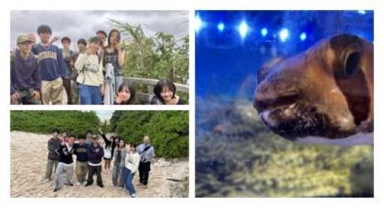 日吉ケ丘高等学校