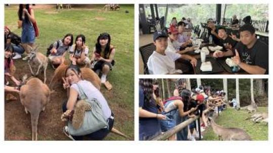 日吉ケ丘高等学校