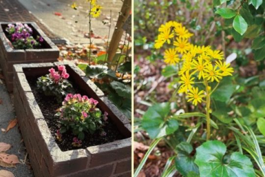 京都堀川音楽高等学校